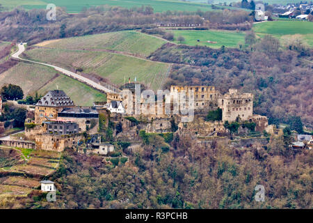 Allemagne, Rhénanie-Palatinat, Oberwesel, Château de Rheinfels Banque D'Images