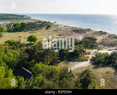 Paysage à Darsser Ort sur la péninsule de Darss. Western Pomerania Lagoon Salon National Park, Allemagne Banque D'Images