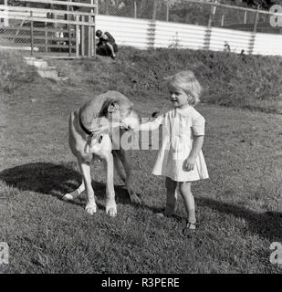 1965, historiques, à l'extérieur sur une ferme, une jeune fille avec un grand chien. Banque D'Images