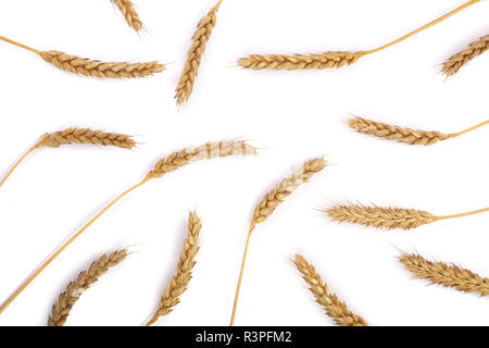 Les épis de blé isolé sur fond blanc. Vue d'en haut. Motif de mise à plat Banque D'Images