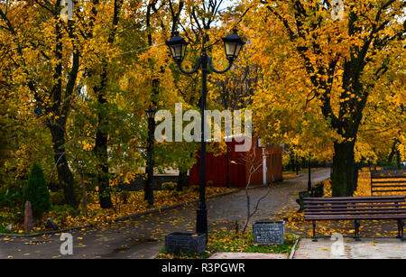 Jaune automne temps Banque D'Images