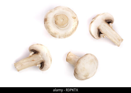 Les champignons isolé sur fond blanc. Vue de dessus Banque D'Images