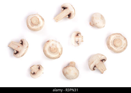 Les champignons isolé sur fond blanc. Vue de dessus Banque D'Images