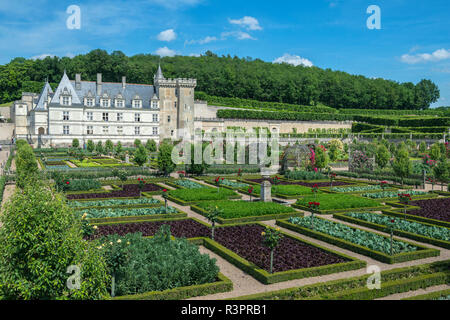 Cuisine jardin, le château de Villandry, vallée de la Loire, France Banque D'Images