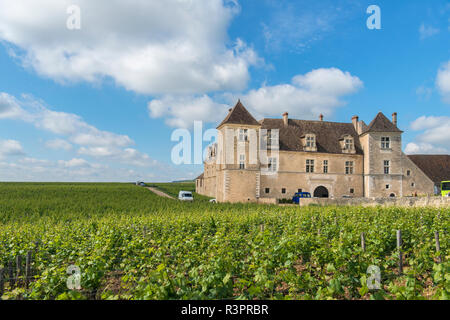 Château du Clos de Vougeot, l'abbaye cistercienne, Clos de Vougeot, Cote d'Or, Bourgogne, France Banque D'Images