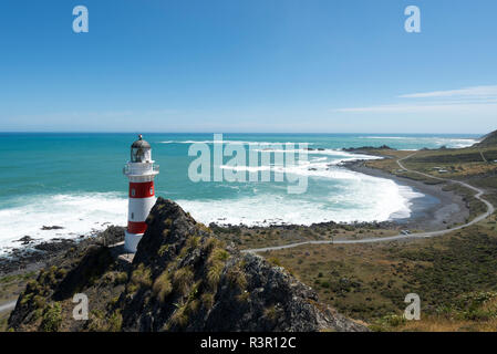 Nouvelle Zélande, île du Nord, du sud, Wellington Wairarapa, Cape Palliser, Lighthouse Banque D'Images