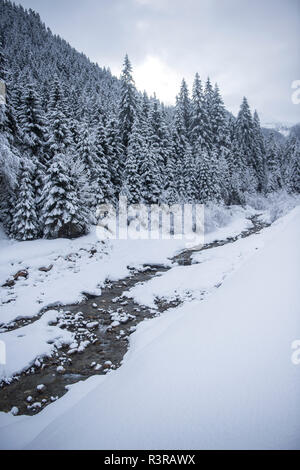 L'Autriche, l'état de Salzbourg, Altenmarkt-Zauchensee, paysage de neige Banque D'Images