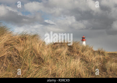 Allemagne, Schleswig-Holstein, Sylt, Ellenbogen, liste phare Ouest Banque D'Images