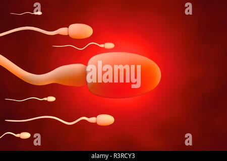 Les cellules du sperme en essayant d'atteindre un ovule, 3D Rendering Banque D'Images