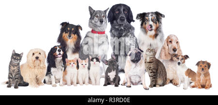 Stock Photo