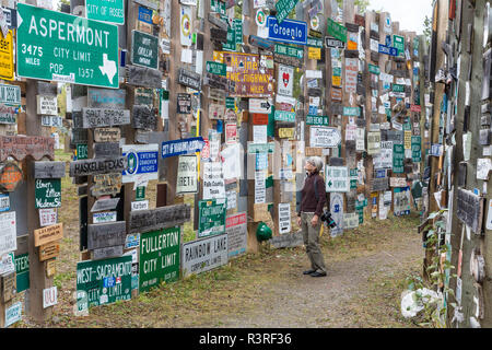 Canada, Yukon, Watson Lake. Les touristes à la recherche de signes. (MR) Banque D'Images