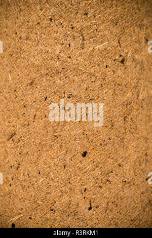 Close up detail panneau de bois composé de copeaux de bois pressé. Banque D'Images