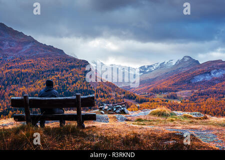 Vue aérienne sur le Lac de Sils (automne) Silsersee dans Alpes suisses. Forêt de mélèzes colorés avec orange et montagnes enneigées sur l'arrière-plan. La Suisse Banque D'Images