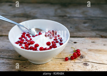 Crème de yaourt naturel avec des groseilles rouges dans un bol blanc, petit-déjeuner sain ou dessert sur une table en bois rustique, de copie, de l'espace, de mise au point sélectionnée narr Banque D'Images