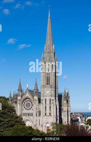 Le comté de Cork, Irlande, Cobh, la cathédrale saint Colman, extérieur Banque D'Images