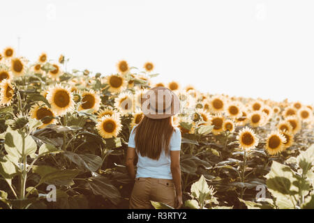Vue arrière de jeune femme debout dans un champ de tournesols Banque D'Images