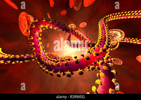 Rendu 3D illustration d'un virus Ebola dans le flux sanguin, entouré par des cellules érythrocytaires Banque D'Images