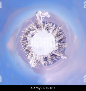 Allemagne, Bade-Wurtemberg, Schliffkopf, arbres couverts de neige à Forêt Noire, montage Banque D'Images