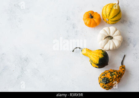 Citrouilles ornementales sur bois blanc Banque D'Images