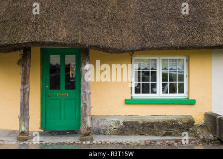 L'Irlande, le comté de Limerick, l'Adare, le plus joli village, cottage détails Banque D'Images