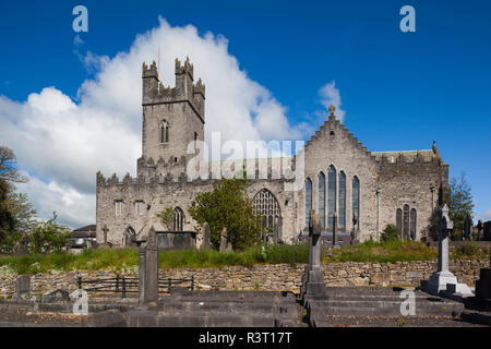 L'Irlande, le comté de Limerick, Limerick, cathédrale St Mary, extérieur Banque D'Images