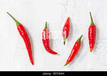 Cinq gousses de piment rouge sur fond clair Banque D'Images