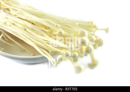 Champignons enoki / isolés de frais ou l'aiguille d'or de champignons enoki isolé sur fond blanc Banque D'Images