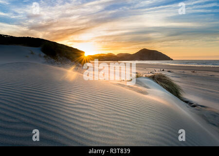 Nouvelle Zélande, île du Sud, Puponga, Wharariki Beach, dunes au coucher du soleil Banque D'Images