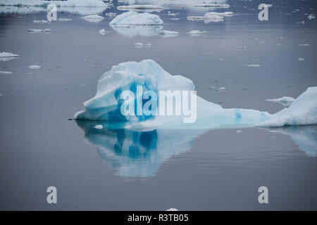 Le Groenland, Scoresbysund, aka Scoresby Sund, Fonfjord, icebergs. Banque D'Images