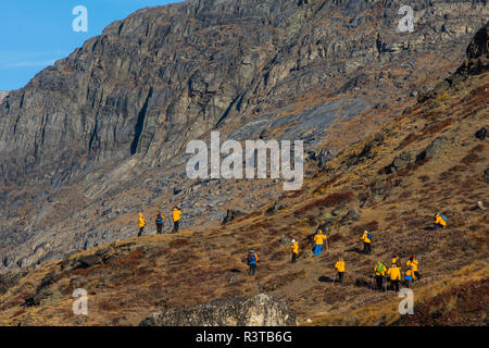 Le Groenland, Scoresby Sund, Gasefjord. Gasegletscher. Les randonneurs sur la colline. Banque D'Images