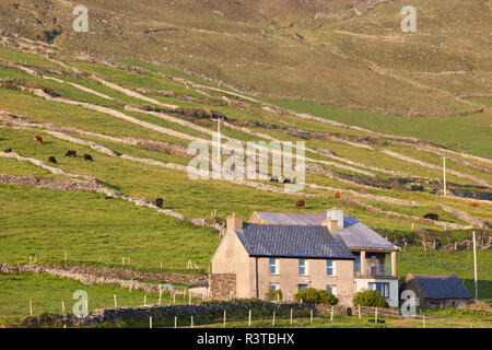 L'Irlande, le comté de Kerry, péninsule de Dingle, Slea Head, Dunquin, paysage, crépuscule Banque D'Images
