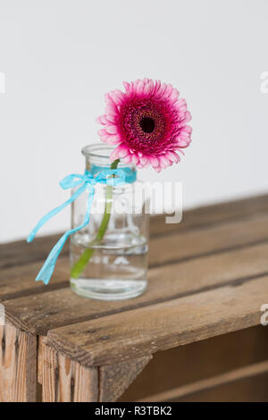 Gerbera rose en vase à fleurs Banque D'Images