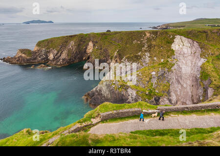 L'Irlande, le comté de Kerry, péninsule de Dingle, Slea Head, Dunquin, augmentation de la vue sur la jetée de Dunquin Banque D'Images