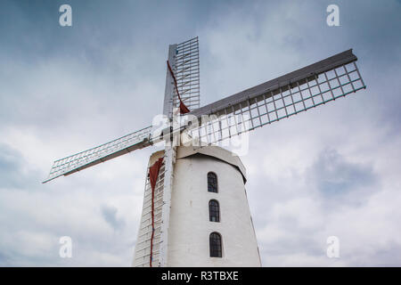 L'Irlande, le comté de Kerry, Tralee, Blennerville Windmill, moulin restauré du xixe siècle, la plus grande usine de travail en Irlande et en Grande-Bretagne Banque D'Images