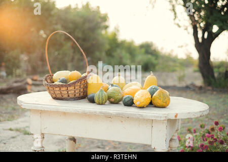 Citrouilles d'automne sur une table en bois dans le jardin Banque D'Images