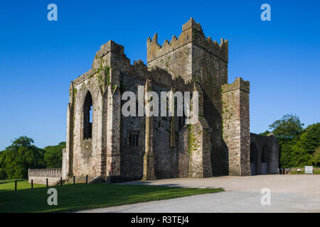 L'Irlande, le comté de Wexford, Péninsule de Hook, Saltmills, Abbaye de Tintern, 13e siècle Banque D'Images