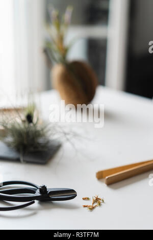 L'équipement de jardinage à la maison Banque D'Images