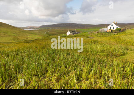 Paysage de Fethaland, Mainland, Shetland, UK Banque D'Images