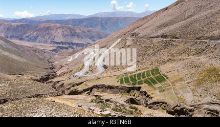 Route nationale RN 52, la route de montagne Cuesta del Lipan escalade jusqu'à Abra de Potrerillos. L'Amérique du Sud, Argentine Banque D'Images