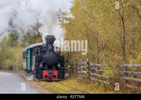 La Roumanie. Moldovita, vieux train à vapeur. Banque D'Images