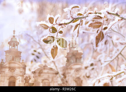 Feuilles de roses dans le givre sur l'arrière-plan de la ville médiévale de Lviv. Exposition double à l'aide de l'archétype et les plantes. Banque D'Images