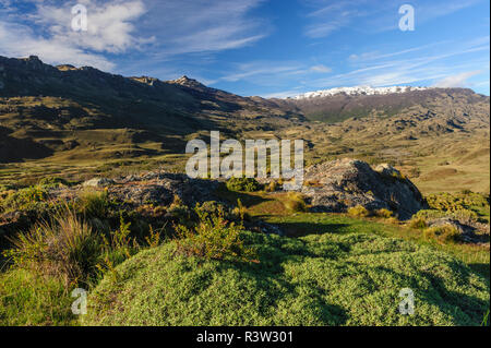 Le Chili, d'Aysen, Valle Chacabuco. Le paysage de steppe de Patagonie Parc. Banque D'Images