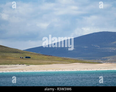 Des îles Malouines, de l'ouest vu de la mer. L'Île Saunders et le cou. L'Amérique du Sud, îles Falkland Banque D'Images