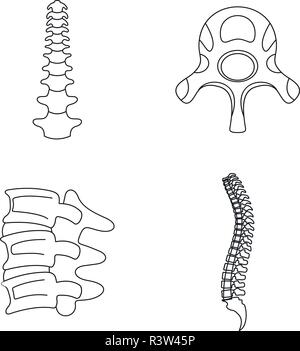 Orthopédie rachis vertèbre icons set. Aperçu de l'illustration 4 orthopédie rachis vertèbre d'icônes vectorielles pour le web Illustration de Vecteur