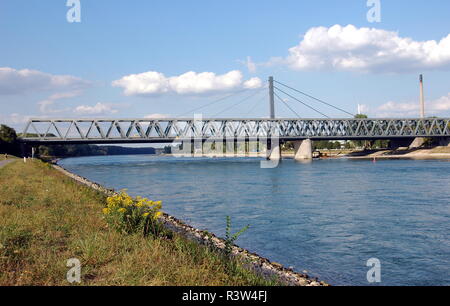 Rhin à maxau - maximiliansau - septembre 2015 de l'eau faible Banque D'Images