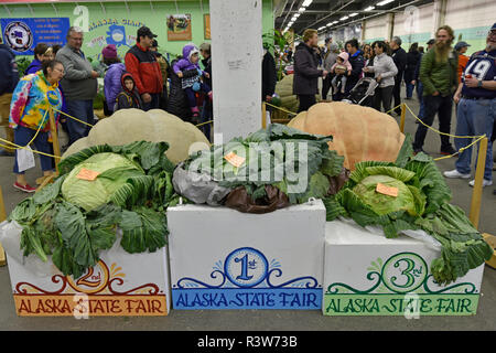 Foire de l'état de l'Alaska, de l'alimentation, de produire, de légumes, Palmer, Alaska, USA Banque D'Images