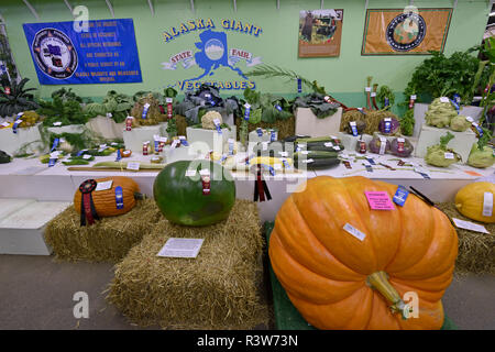 Foire de l'état de l'Alaska, de l'alimentation, de produire, de légumes, Palmer, Alaska, USA Banque D'Images