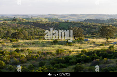 Paysage près de Mertola dans la réserve naturelle Parque Natural do Vale do Guadiana, le Portugal, l'Alentejo Banque D'Images