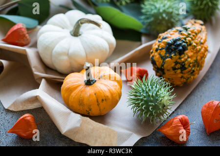 Décoration d'automne, citrouilles ornementales Banque D'Images