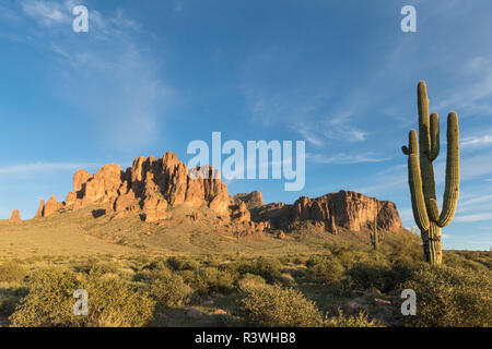 Paysage d'arbustes et de cactus Saguaro robuste sur la toile de fond les montagnes de la superstition, de l'Arizona. Banque D'Images